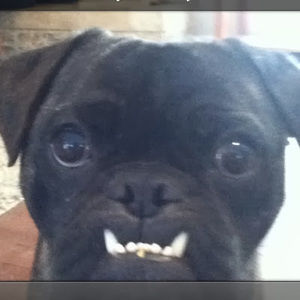 Meet your Posher, Braden